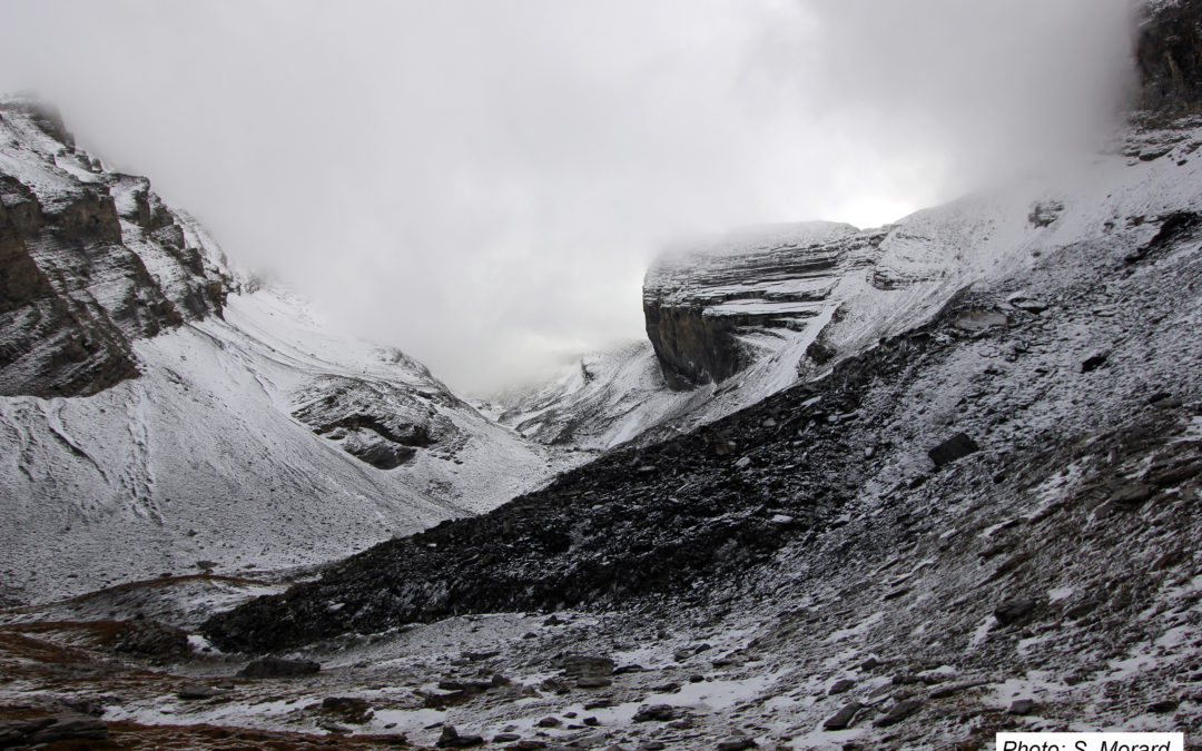 1.5. Typische und marginale Verbreitung von alpinem Permafrost