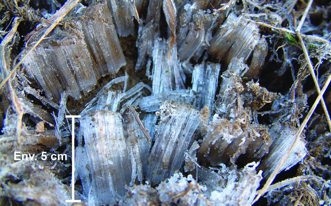 2.4 Gonflement cryogénique et cryosuccion