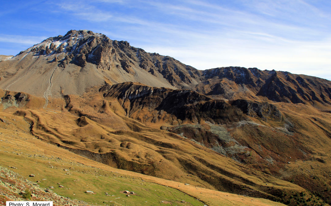 4.3. Einteilung der Blockgletscher nach ihrer Aktivität