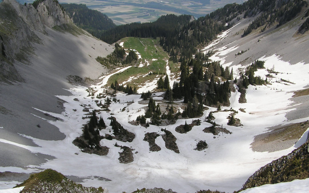 5.1 Eboulis froids (et autres formations poreuses) de basse altitude